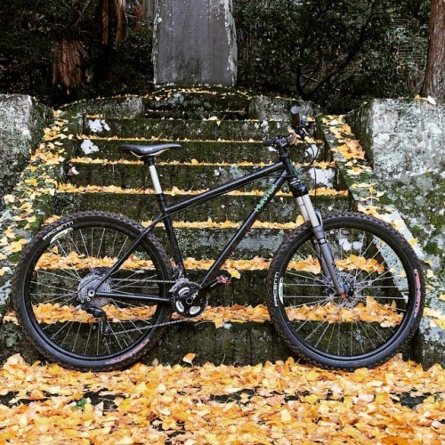 howtomakekyutai: Yellow leaves with #huntercycles #circles12thanniv #サークルズ慰安ライド (Matsuzaki, Shizuok