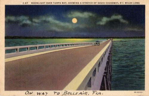 Moonlight over Tampa Bay, showing a stretch of Davis Causeway, 9 &frac12; miles long &ldquo;On way t