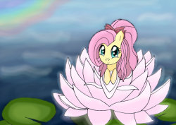 fluttershyponders:  cocoa-bean-loves-fluttershy: