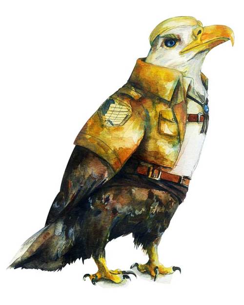 iamleviheichou:foraz-zora: Shingeki no Kyojin characters as birds Artist: くろ My friend and I found t