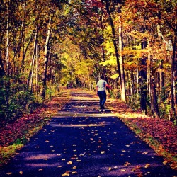 livininazoo:  Cruisin’ Through the Foliage