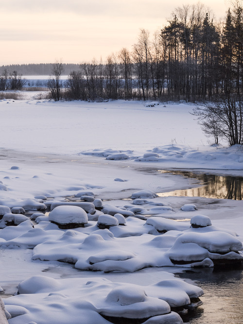 January morning