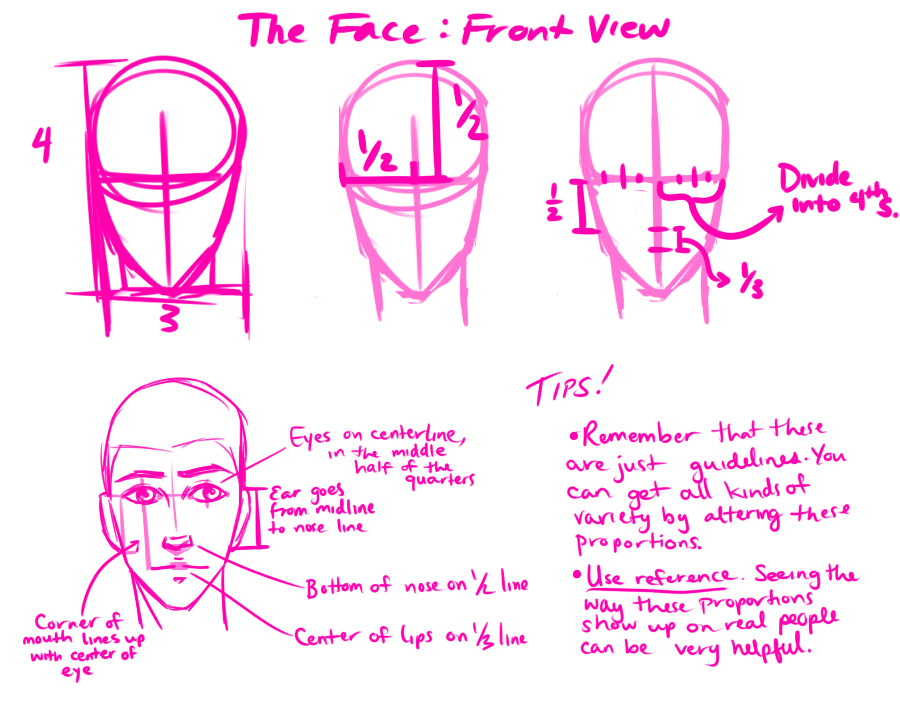 Just a basic ref for where on the face features... - Folio R