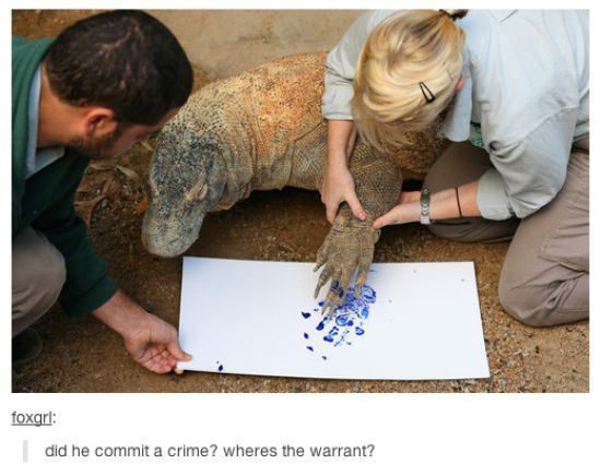 guyism:  100 of the funniest things ever posted to Tumblr…. aka, Tumblr’s Best.