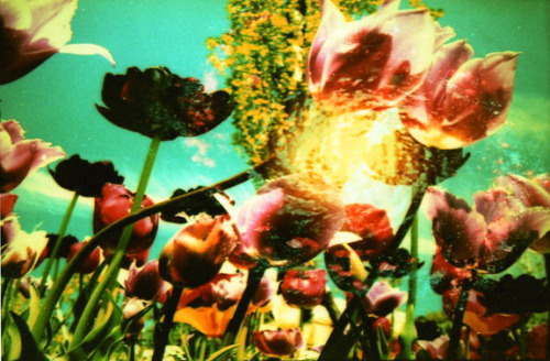 lomographicsociety:  Lomography Film of the Day - Lomography X-Pro Slide 200