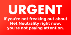 Ajit Pai isn&rsquo;t shy, he&rsquo;s showing the entire world his asshole. Call your representatives and tell them to stop the FCC&rsquo;s plan to end Net Neutrality.