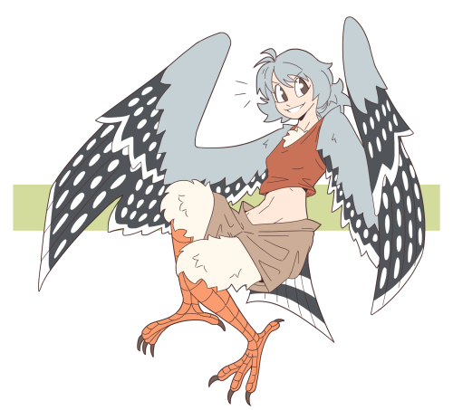 slightlysimian:Pygmy Falcon Harpy!Commission for @rpbattleman​[Twitter]