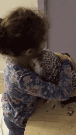 Sex sarriane: gifsboom:  Owl love you. [video] pictures