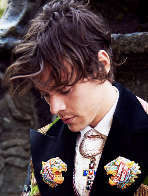 thedailyharry:Harry Styles for Gucci Cruise 2019 Tailoring Campaign (Photographed by Glen Luchford)