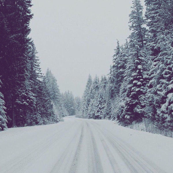 Kate likes this — 🌨Snow Fall Dream 🌨 gifs/edits made by me :)