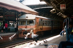 annaehrgott:  Waiting for our train to come..