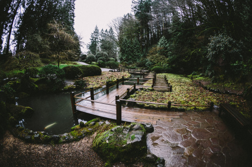 talltalememory:Portland Japanese Garden