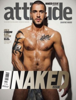 Ruahunter:  Shayne Ward 