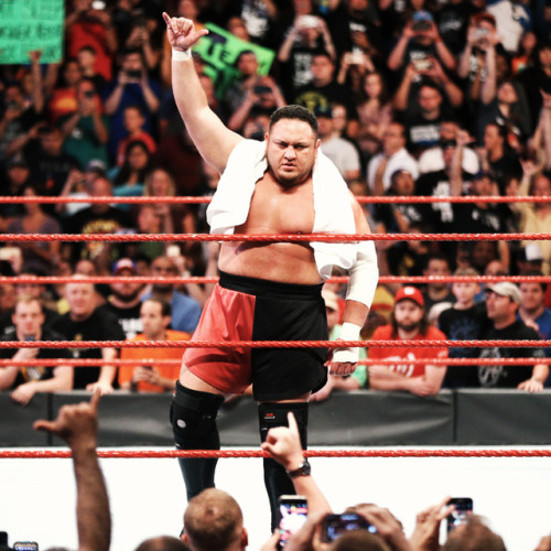 samoa joe