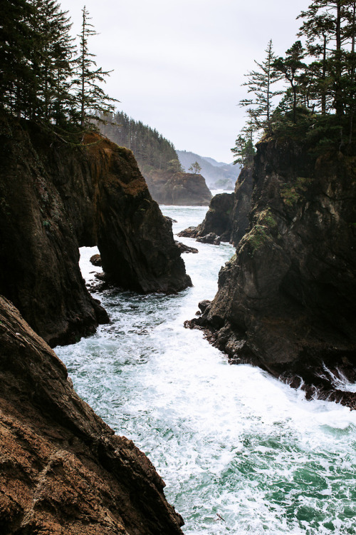 jonahreenders - the rugged coastJonah Reenders | Instagram