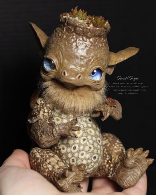 Desert Kappa, can’t stop admiring its tiny succulents #ooak #ooakdoll #svetlanapolupanova #kappa #y