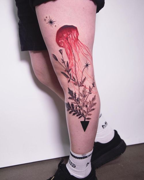 timur lysenko blackw;jellyfish;leaf;leg;red
