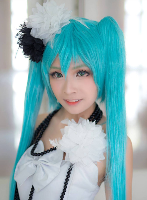sexycosplaygirlswtf:  scandalousgaijin:  Hatsune Miku - Alexia Faye Photo by Shiro… Get hottest cosplays and sexy cosplay girls @ sexycosplaygirlswtf.tumblr.com … OMG These girls are h@wt in costume. 