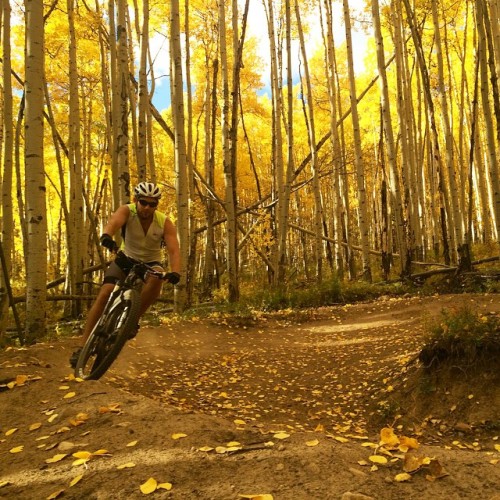 chrismark68: bikes-bridges-beer: He almost took me out seconds later but at least he crushed the cor