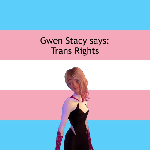 Gwen Stacy Says: Trans Rights