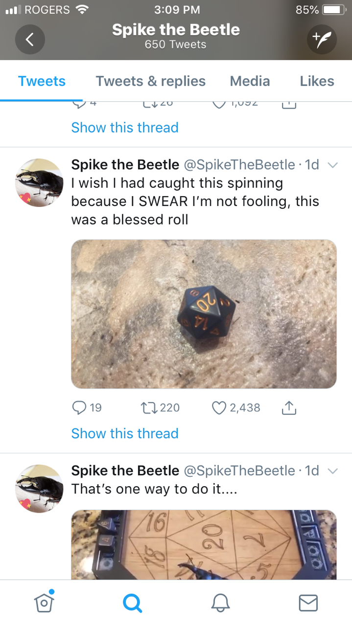 cosmipup: battlecrazed-axe-mage:   theshadiertwin:   mellowrhombus:  spikethebeetle: