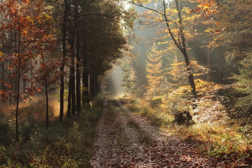 Autumn capitol of the world