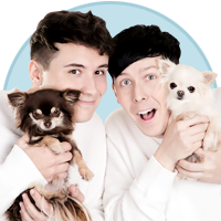 pseudophan:dan + phil + dogs icons because…..dan + phil + dogs [ -> more icons here <- ]