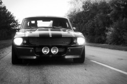 justoldmustangs:  Just old Mustangs B&amp;W