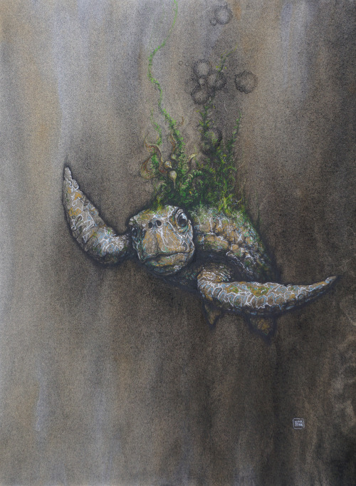 Loggerhead Sea Turtle (18″x 24″) [SOLD]