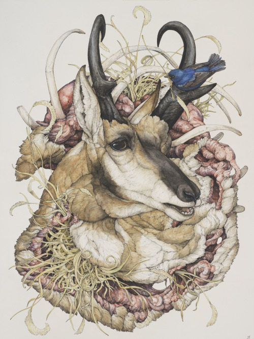 blar-ividia-jente:littlelimpstiff14u2:The Decaying Beauty of  Lauren Marx’s Stunning PaintingsLauren