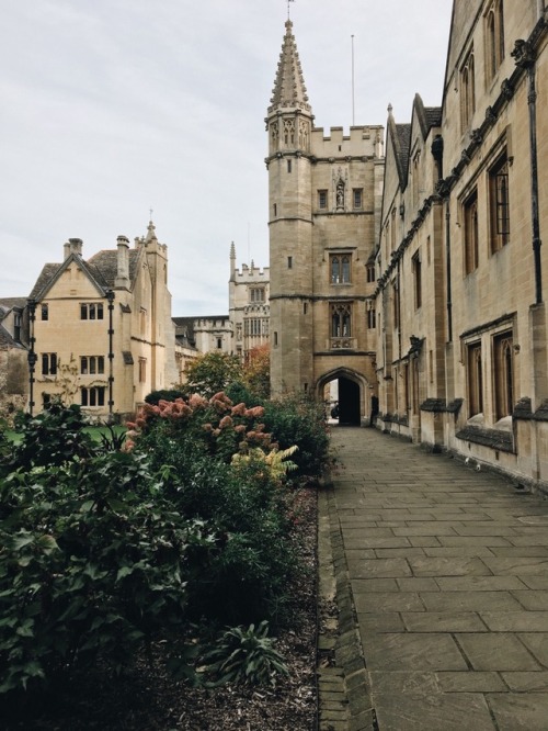 michaelmas term at oxford university, 2018