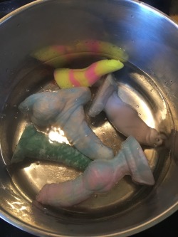 cookiethepup:  Who wants some dick soup? Boiling my toys to clean