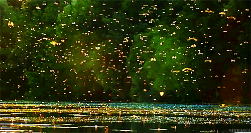 morocha-argenta.tumblr.com/post/61983608295/