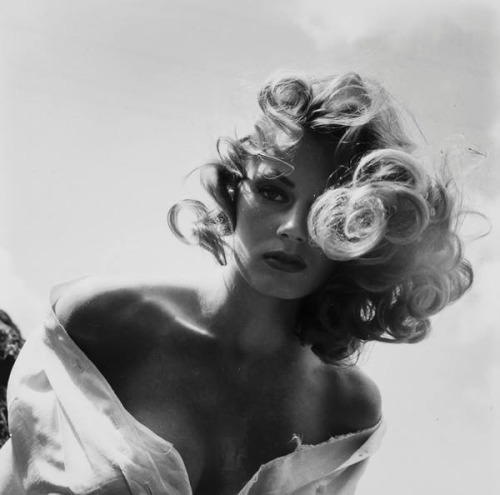 dolcerandy:  Fonte: ImpressioniFotografiche Ieri alle 18.41 · su Facebook   Anita Ekberg 1950s photo Peter Basch  Via: Attimi e Ricordi