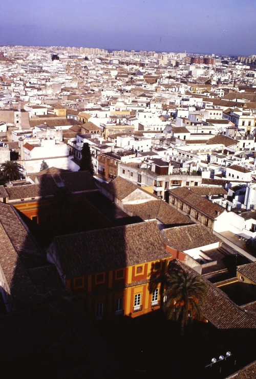 Sevilla Rooftops from Giralda, Sevilla, Spain, 1985.