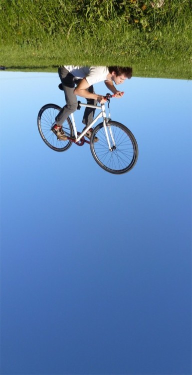 fixed gear