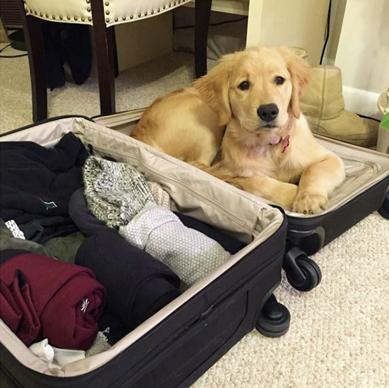 the-perfect-aesthetic:We are ready for a New York trip