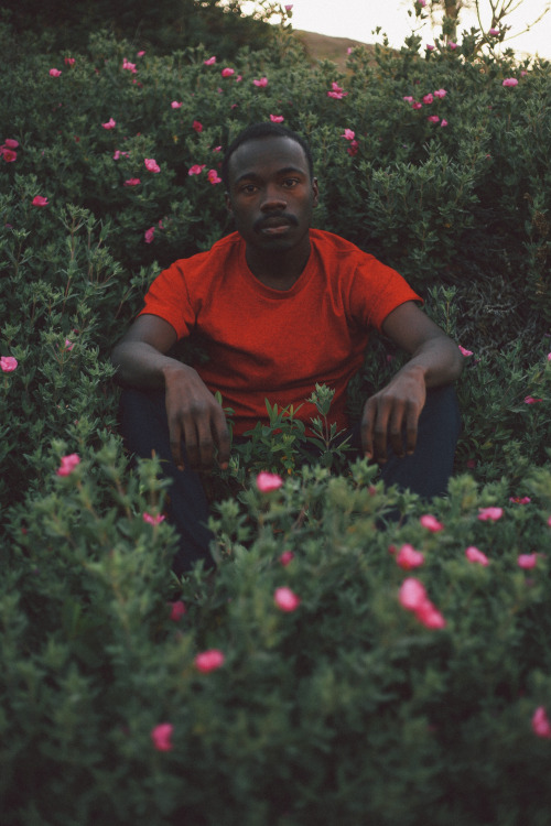 manufactoriel:  by James Stanciell 