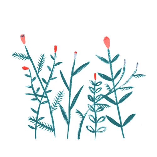 warm-positivity:[a gif of digitally drawn flowers blooming]
