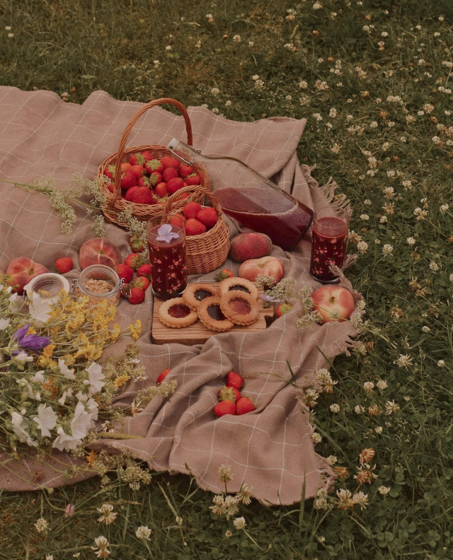 #picnic aesthetic on Tumblr