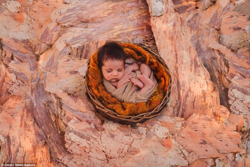 pocarovna: i-believe-i-can-touch-skye: unalome: Breathtaking photos of Aboriginal newborns and pregn