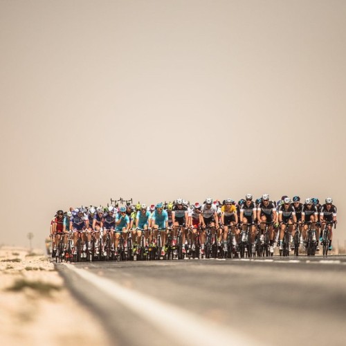 pedalitout:Peloton @TourOfQatar, stage 4. (Photo: Kåre Dehlie Thorstad) #fuelfortheride Credit pelot