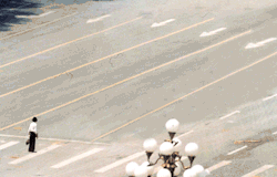 madebyabvh:  Can’t fight city hall 
