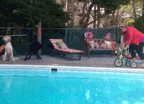 Pool Fails