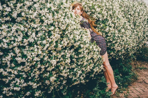 sidneymanuel:  Nettie - All That You Give Photos by: Sidney Manuel Model: nettierharris Tumblr | Instagram | Zivity 