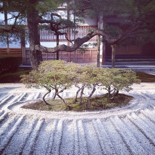 mybobstyle: #garden #perfection #beauty #kyoto (at まつばや (Ginkakuji Syu))