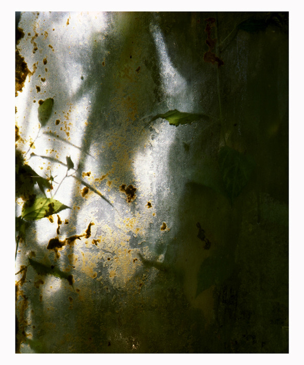 ejcdarmon-blog:  Alice Myers - Winterless Skies  