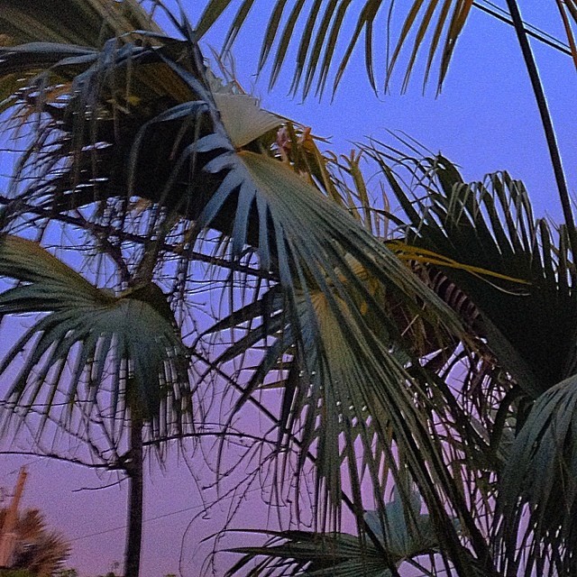 queenpalms:  the power is out . Im in the dark sharing this