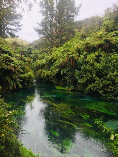 amazinglybeautifulphotography: Blue Spring, New Zealand (OC) [1334 x 750] - Megaton02