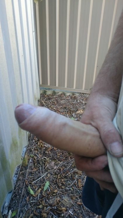 everydayblokesworld: Uncut straight tradie Mate sent me this by mistake, whilst working on a constru